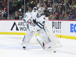 Sharks Wild Hockey