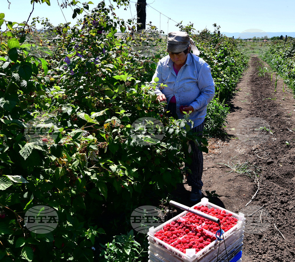 EU Employment Rate Hits Record High in 2025