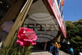 БСП - Национален съвет - заседание