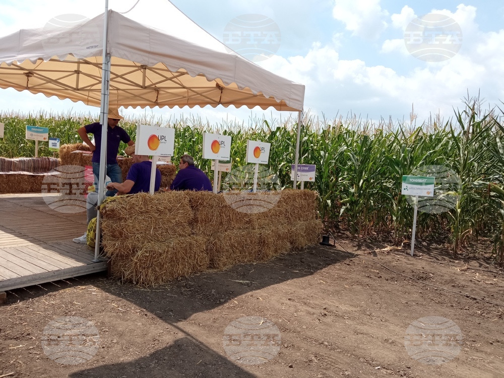 Село Поручик Гешаново - Дни на полето  