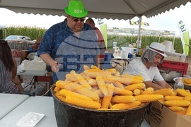 Село Поручик Гешаново - Дни на полето 