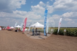 Село Поручик Гешаново - Дни на полето 