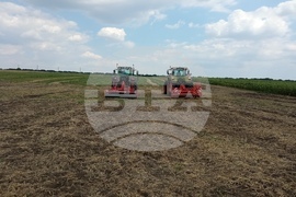 Село Поручик Гешаново - Дни на полето  