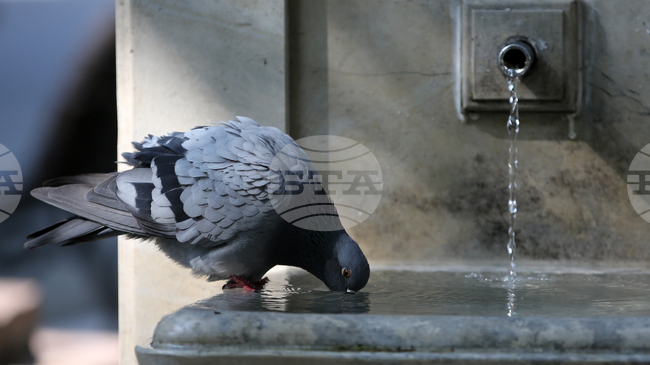 Въпреки решението на КЕВР, "ВиК"-Смолян няма да въведе новите по-високи цени на водата