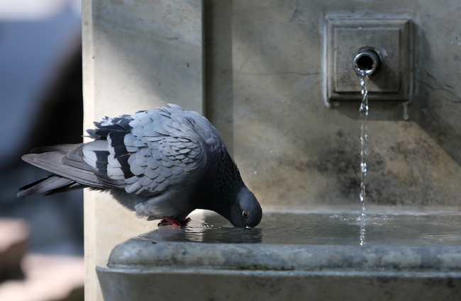 Близо 2000 гръцки домакинства останаха без питейна вода заради високи нива на уран