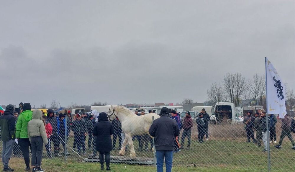 Възраждане: Конно състезание с над 2000 присъстващи организира „Възраждане“ по случай националния празник