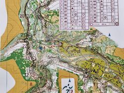 Снимка: Община Плевен