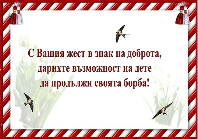 Благотворителна инициатива събра над 5 хиляди лева за лечение на болно дете от новозагорското село Млекарево