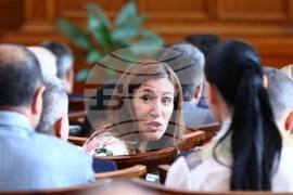 Парламент - заседание