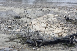 Кърджали - водно огледало - източено