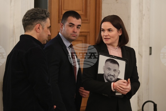 Народно събрание - Комисия по въпросите на Европейския съюз, Шенгенското пространство и Еврозоната