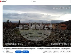 Снимка: Българско дружество за защита на птиците