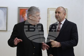 Владимир Пенев - изложба