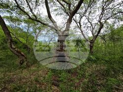 Министерството на околната среда и водите обяви пет нови защитени територии