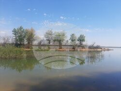 Министерството на околната среда и водите обяви пет нови защитени територии