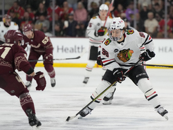 Blackhawks Coyotes Hockey