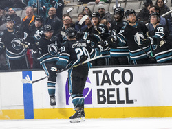 Stars Sharks Hockey