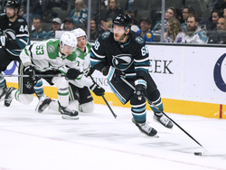 Stars Sharks Hockey
