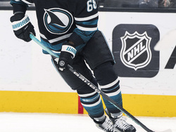 Stars Sharks Hockey