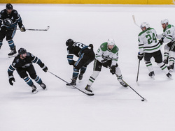 Stars Sharks Hockey