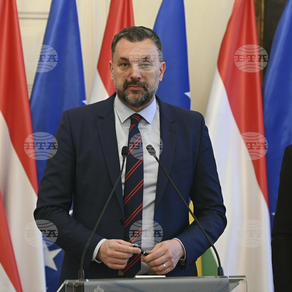 Отбиването на военна служба в друга държава е криминално престъпление, заяви босненският външен министър