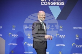 Румъния - ЕНП - конгрес