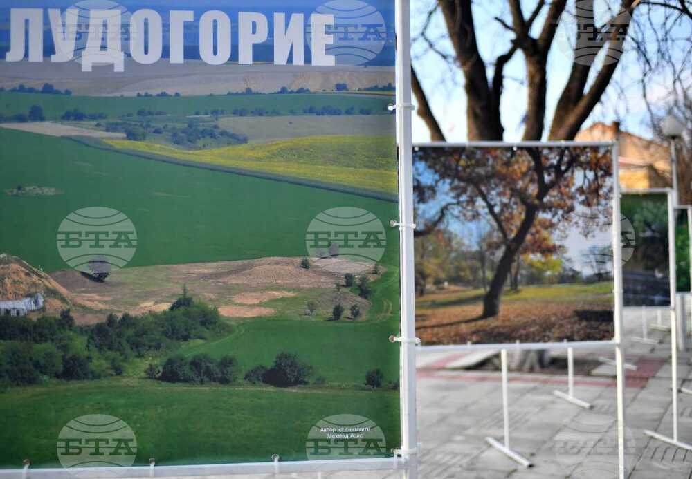 Исперих - изложба - Мехмез Азиз