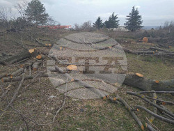 Снимка: Община Варна