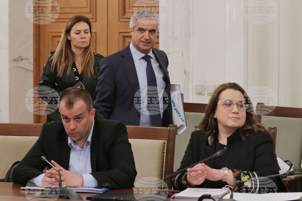 Народно събрание - Временна комисия „Боташ“