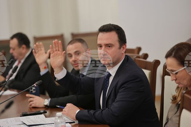 Народно събрание - Временна комисия „Боташ“