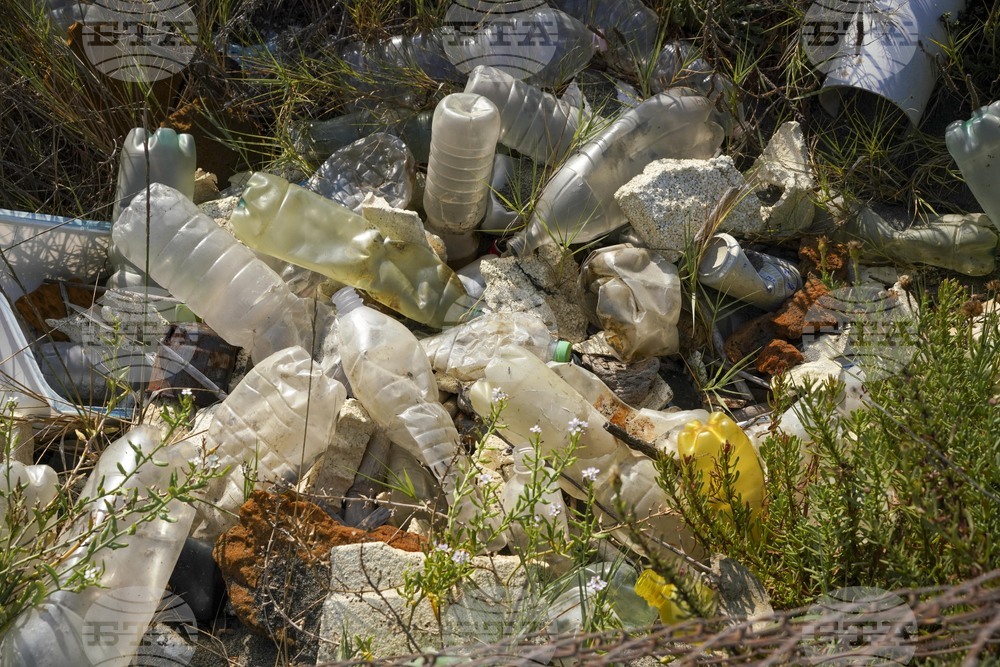 Нанопластмасите са сериозна заплаха за бъбреците, показва проучване