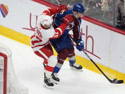 Red Wings Avalanche Hockey