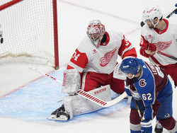 Red Wings Avalanche Hockey