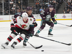 Senators Ducks Hockey