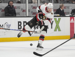 Senators Ducks Hockey