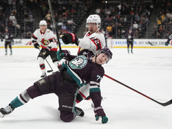 Senators Ducks Hockey