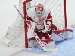 Red Wings Avalanche Hockey