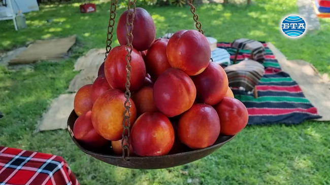 Двадесетото издание на празника „Златна праскова“ започна в сливенското село Гавраилово