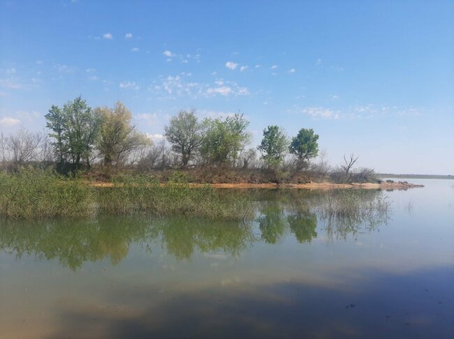 Draft Orders for Designation of Protected Areas at Lom, Timok, Novo Selo and Ogosta Rivers Published for Public Consultation