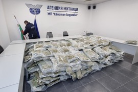 Капитан Андреево - марихуана - пресконференция