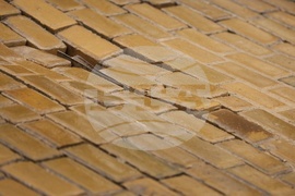 Булевард "Цар Освободител" - павета