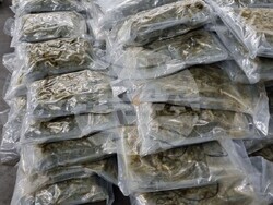 Снимка: Апелативна прокуратура – Пловдив