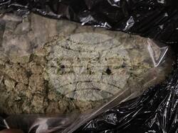 Снимка: Апелативна прокуратура – Пловдив