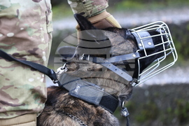 Село Црънча - Многонационално учение Trojan Footprint