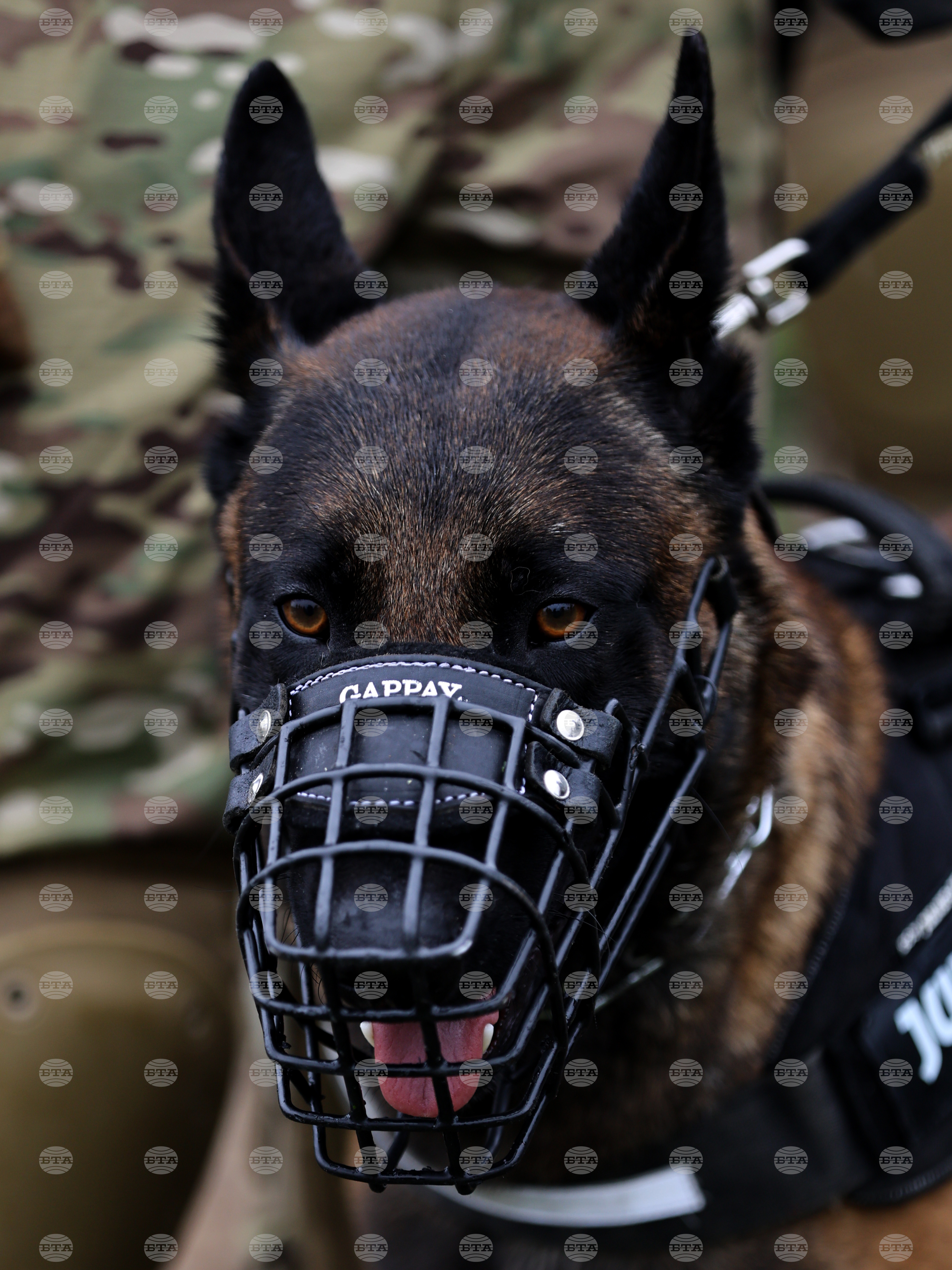 Село Црънча - Многонационално учение Trojan Footprint