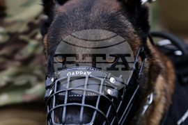 Село Црънча - Многонационално учение Trojan Footprint