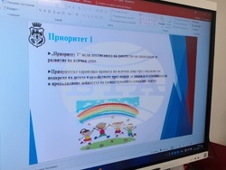 Снимка: Община Видин