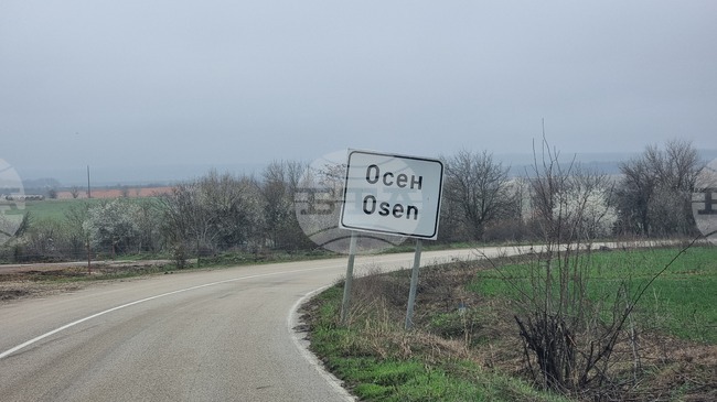 Частични местни избори предстоят в криводолското село Осен, след като кметът Петя Петрова е подала оставка