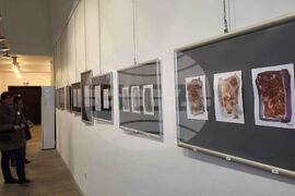 Самоков - Художествена галерия - изложба