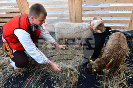 Разград - Панаир на киселото мляко